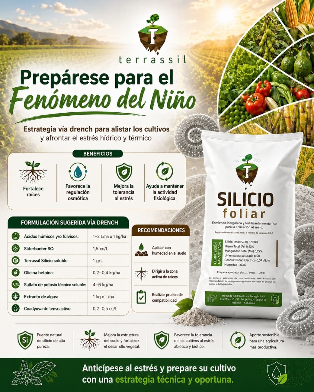 Pieza informativa sobre silicio foliar y el fenómeno de El Niño